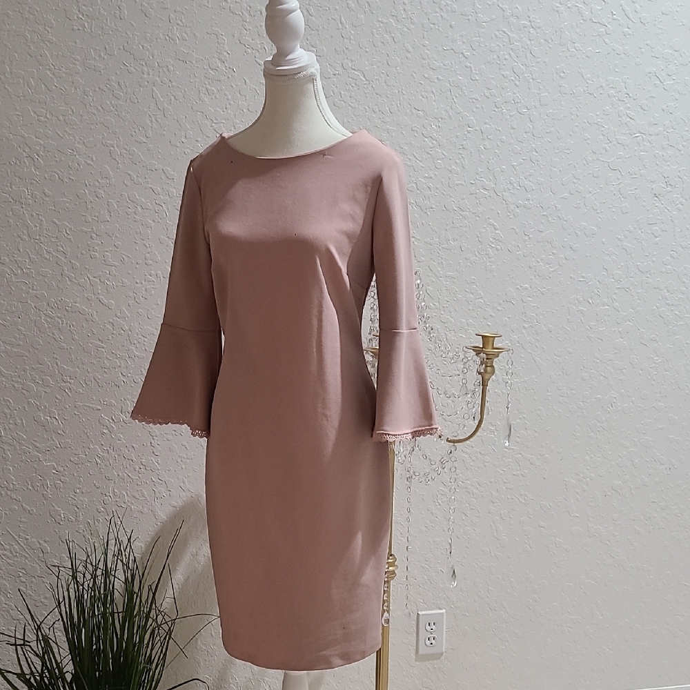 Chic Long Sleeve Pink Dress